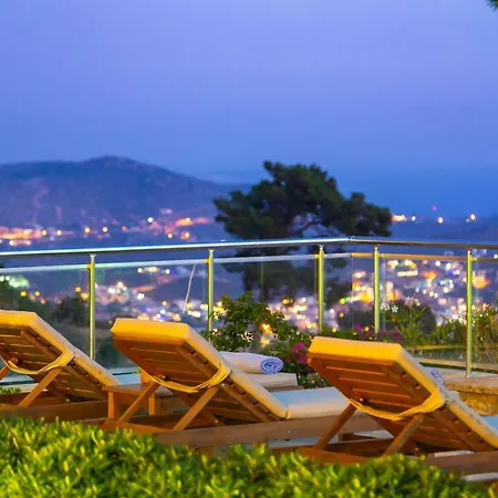 Villa Keady, Lavanta,